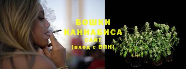 прущие грибы Баксан