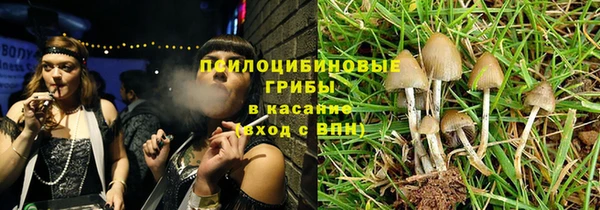 скорость mdpv Богородицк