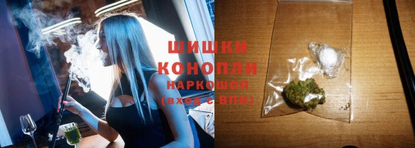 apvp Белокуриха