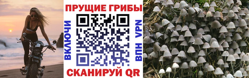 Галлюциногенные грибы ЛСД  продажа наркотиков  МЕГА сайт  Кольчугино 